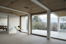 Innenperspektive Wohnraum Holzdielenboden Holzlamellendecke große Fensterschiebetüren mit vorgelagerter terrasse